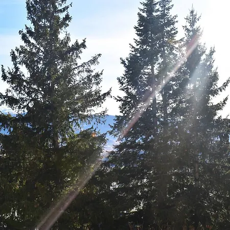 Confortable Duplex A Font-romeu - 4 Pers, Tv, Parking, Proche Golf Et Foret - Fr-1-580-120 Apartamento *